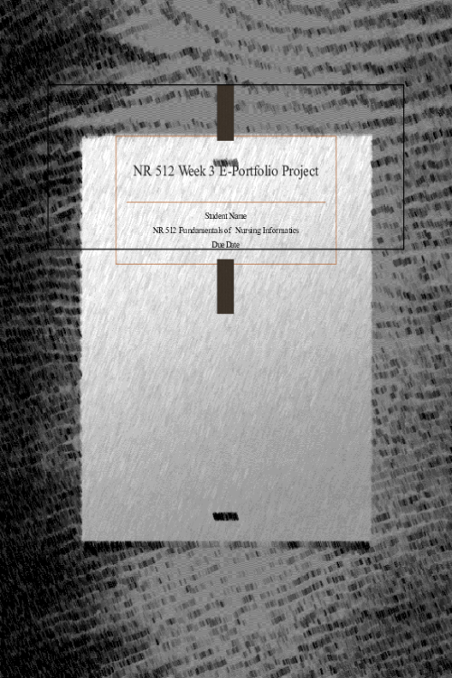 NR 512 Week 3 Assignment; e-Portfolio Project; Digital Data Collection of a Graduate Nurse