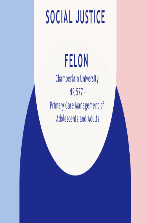 NR 577 Social Justice Felon SOCIAL JUSTICE FELON (Presentation)
